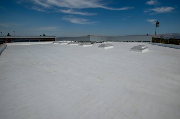 Best Skylight Installation and Repair  in Bret Harte, CA