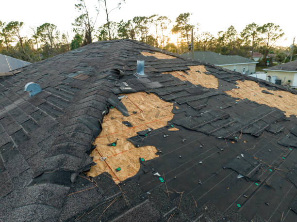 Best Asphalt Shingle Roofing  in Bret Harte, CA