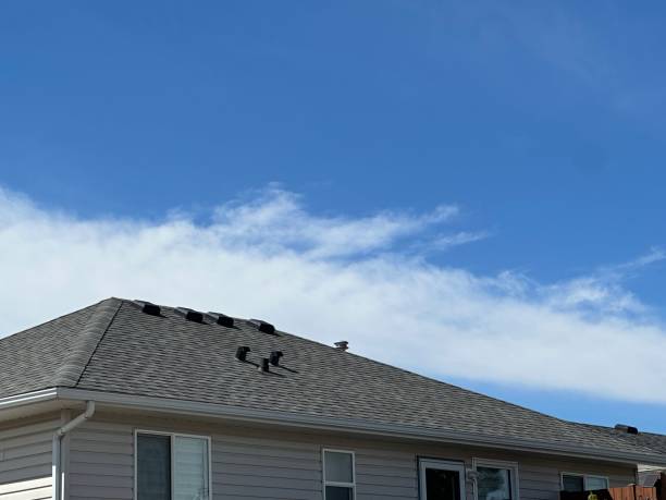 Best Slate Roofing  in Bret Harte, CA